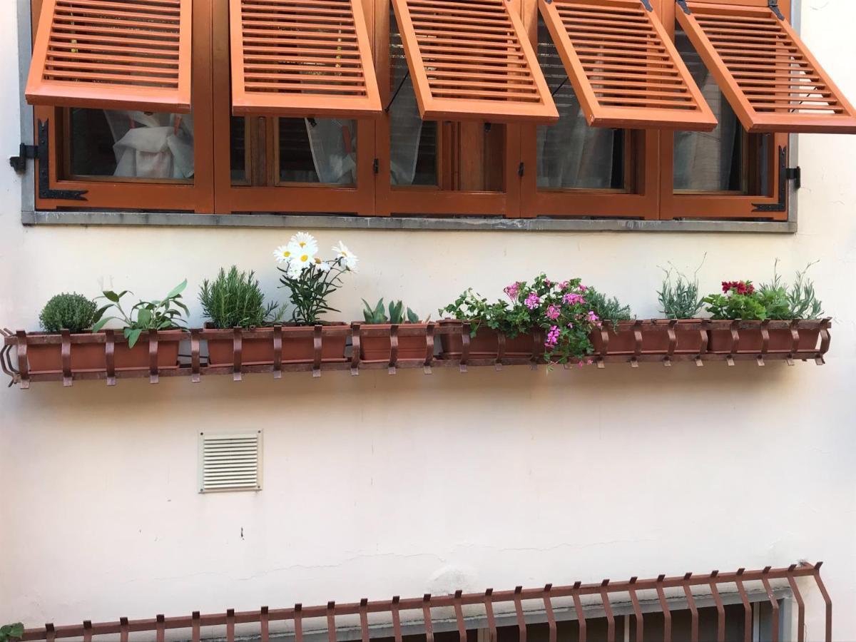 La Casa Fra Gli Ulivi Apartamento Lerici Exterior foto